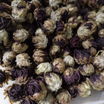 中华红菊胎菊一袋2两