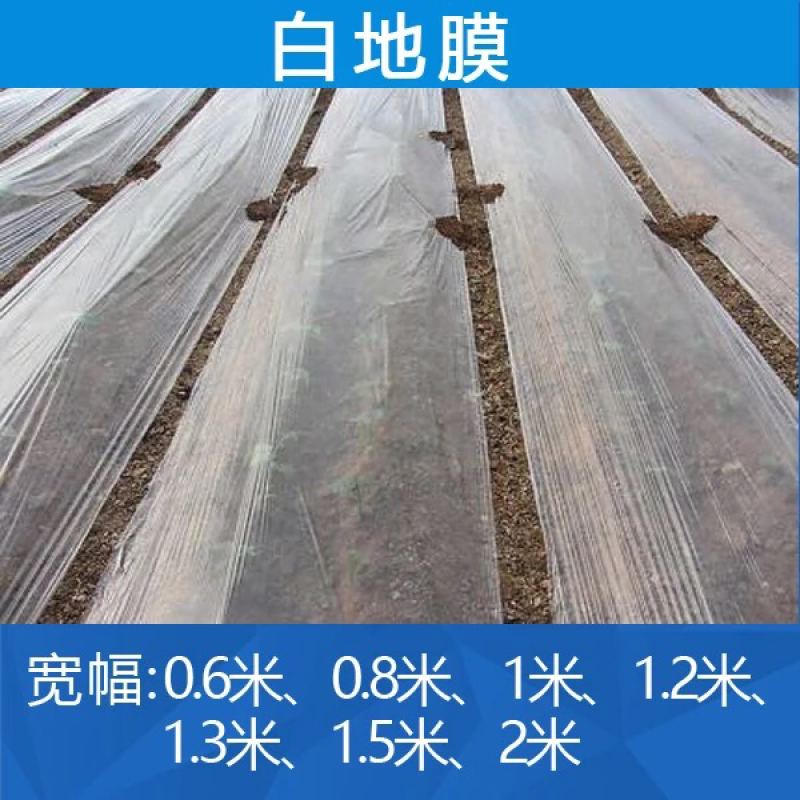 白色地膜20斤重厂家直销价