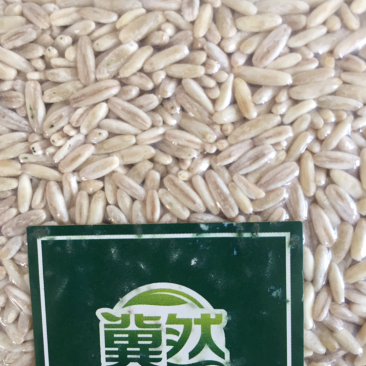 精致燕麦胚芽米真空包装