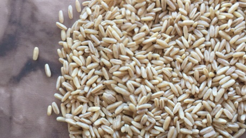 燕麦米