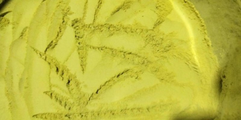 铁皮石斛粉