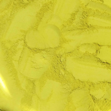 铁皮石斛粉