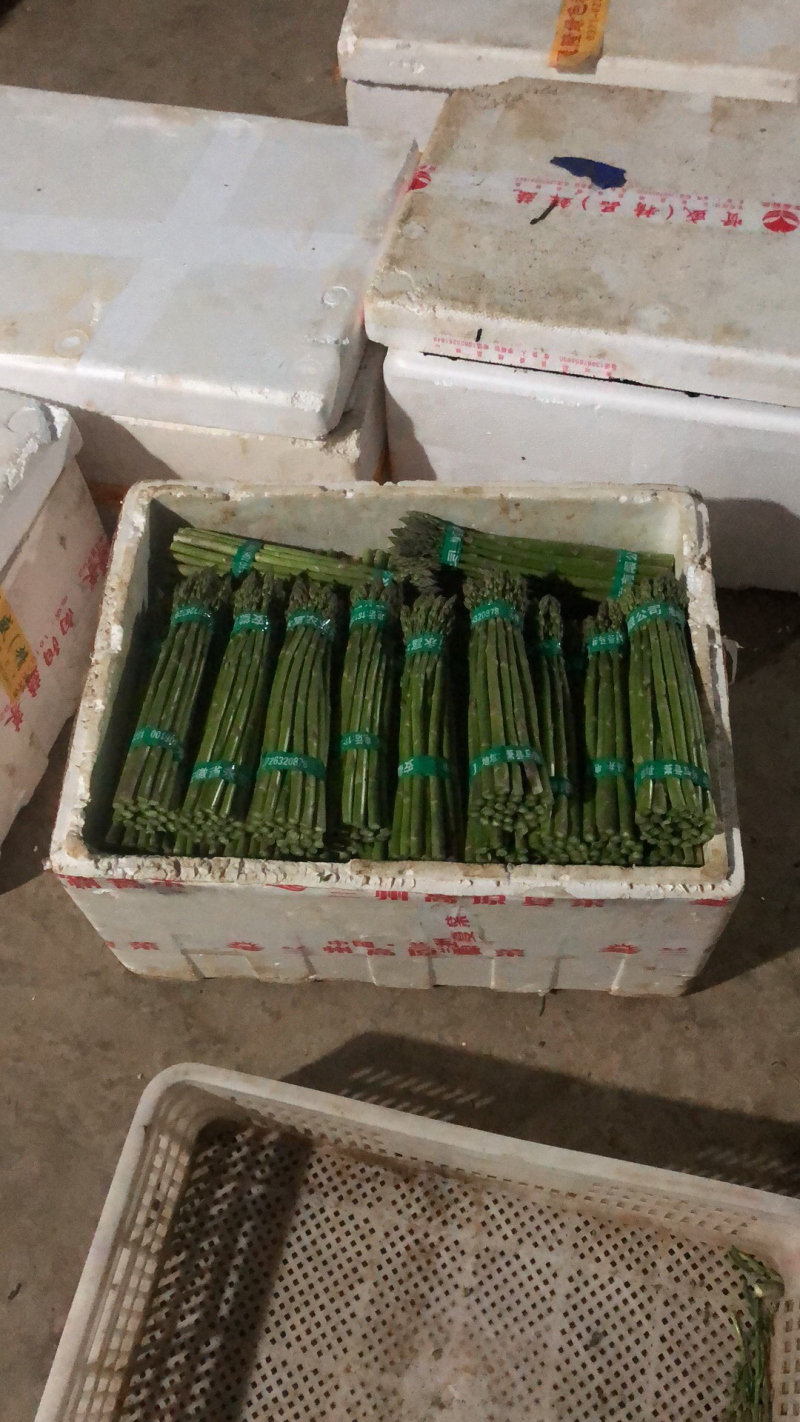 大棚青芦笋一二三级。全青。可定制代发量大质优价格优惠
