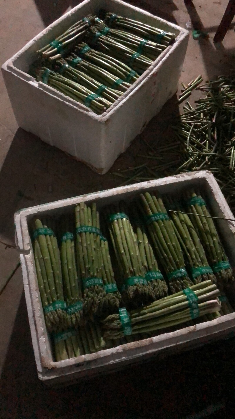 大棚青芦笋一二三级。全青。可定制代发量大质优价格优惠