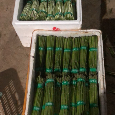 大棚青芦笋一二三级。全青。可定制代发量大质优价格优惠