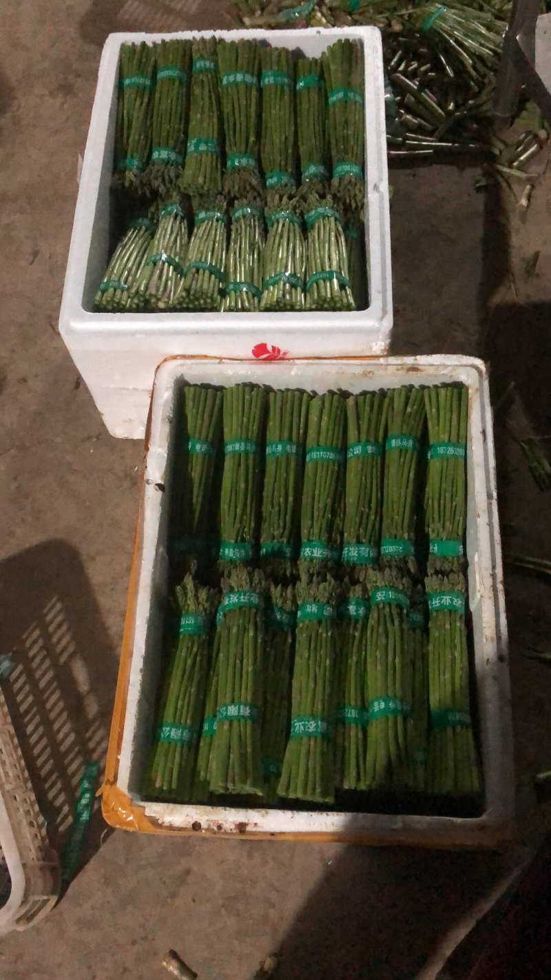 大棚青芦笋一二三级。全青。可定制代发量大质优价格优惠