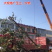 广玉兰12公分量大供应