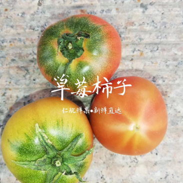 精品草莓柿子开始熟了