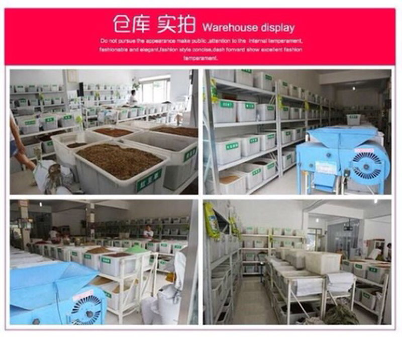 波斯菊种子混色七彩格桑花种子四季种百日草种子易活开花不断