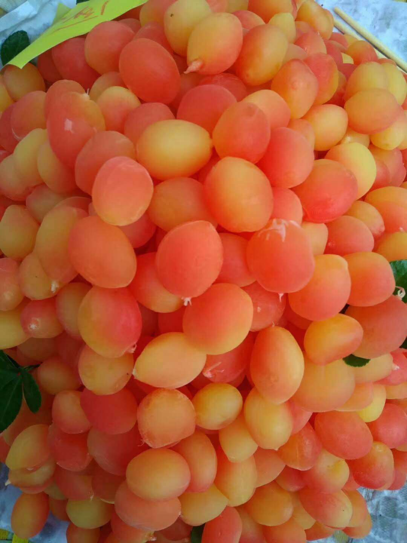 金西梅干蜜制桃，厂家直发大量现货稳定对接批发量大从优