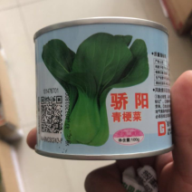 骄阳青梗菜种子夏季青菜种子