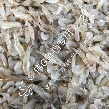小虾米冰鲜冻版发货饮用水河虾一手货源