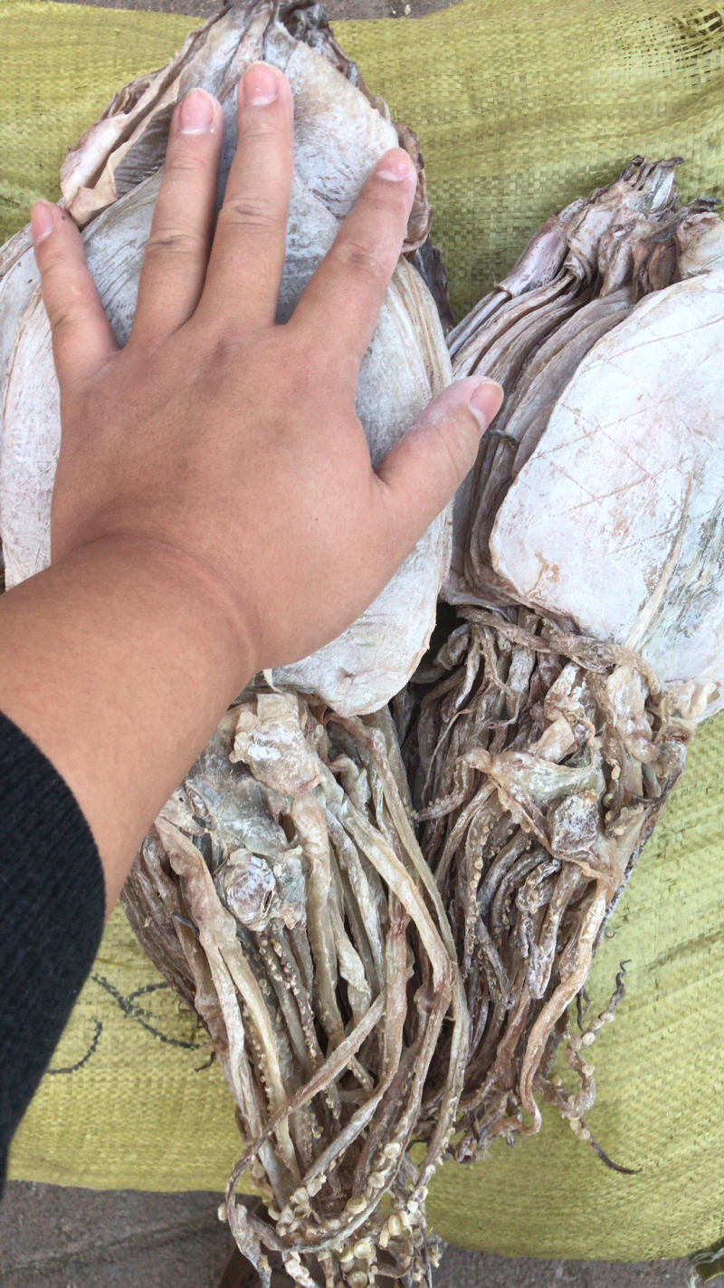延边鱿鱼干，优质东海货，老板亲自上货纯一手货源