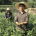 2026安吉白茶，春茶，茶如其人，找对了人，就找到茶