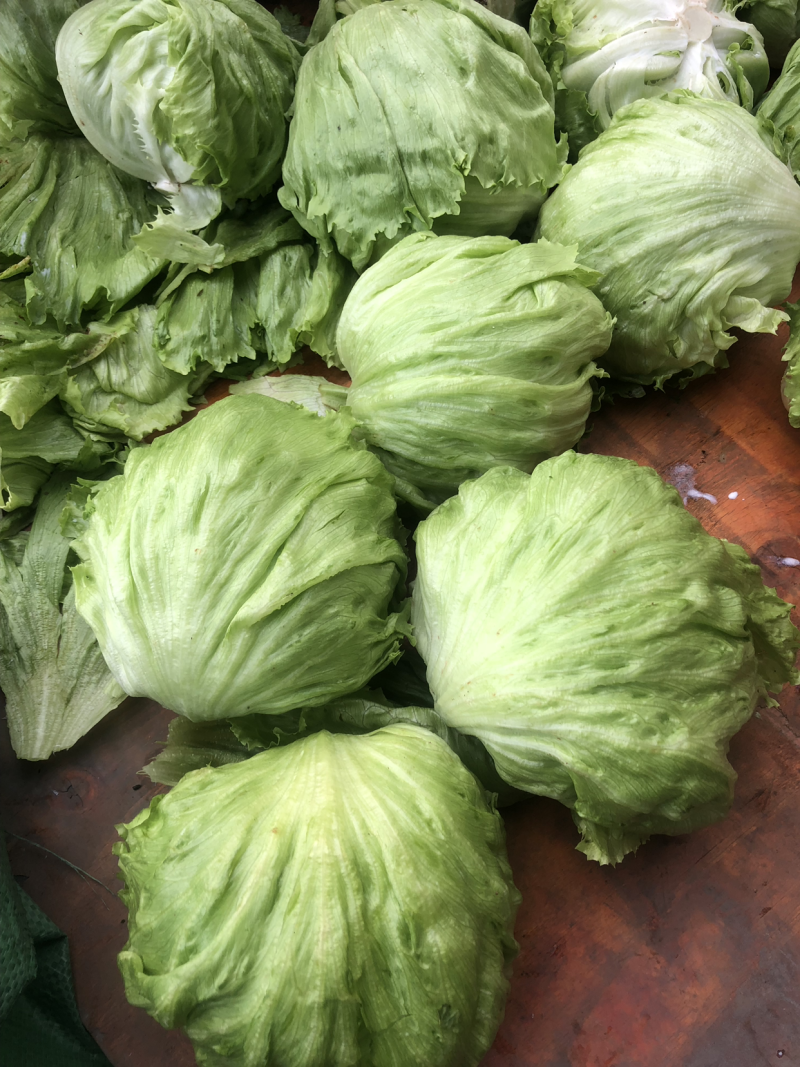 球生菜，精品中的精品