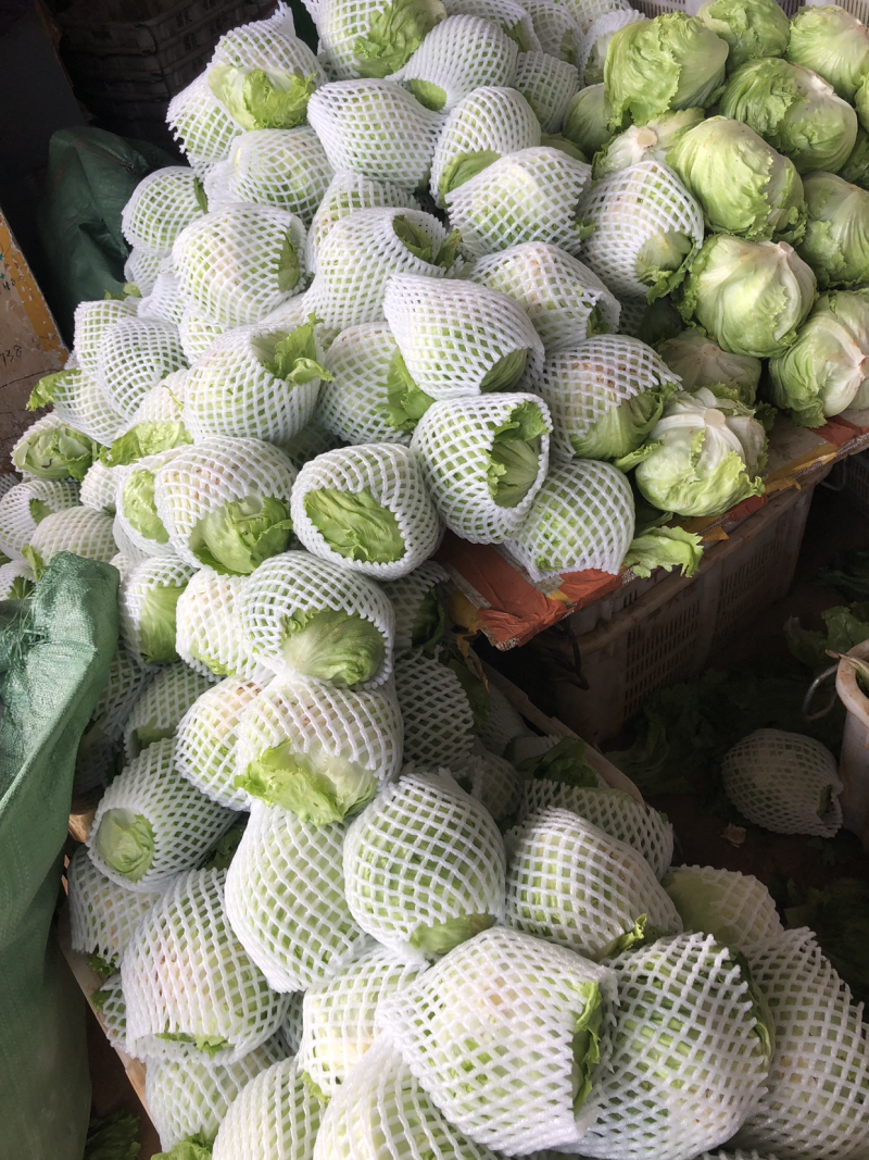 球生菜，精品中的精品