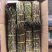 石斛铁皮石斛鲜条英茂条带叶红干长短都有可以选择