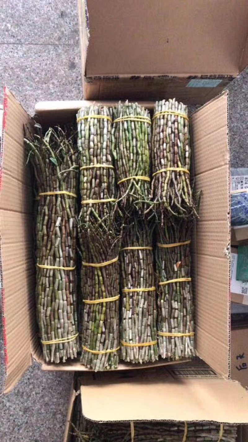 石斛铁皮石斛鲜条英茂条带叶红干长短都有可以选择
