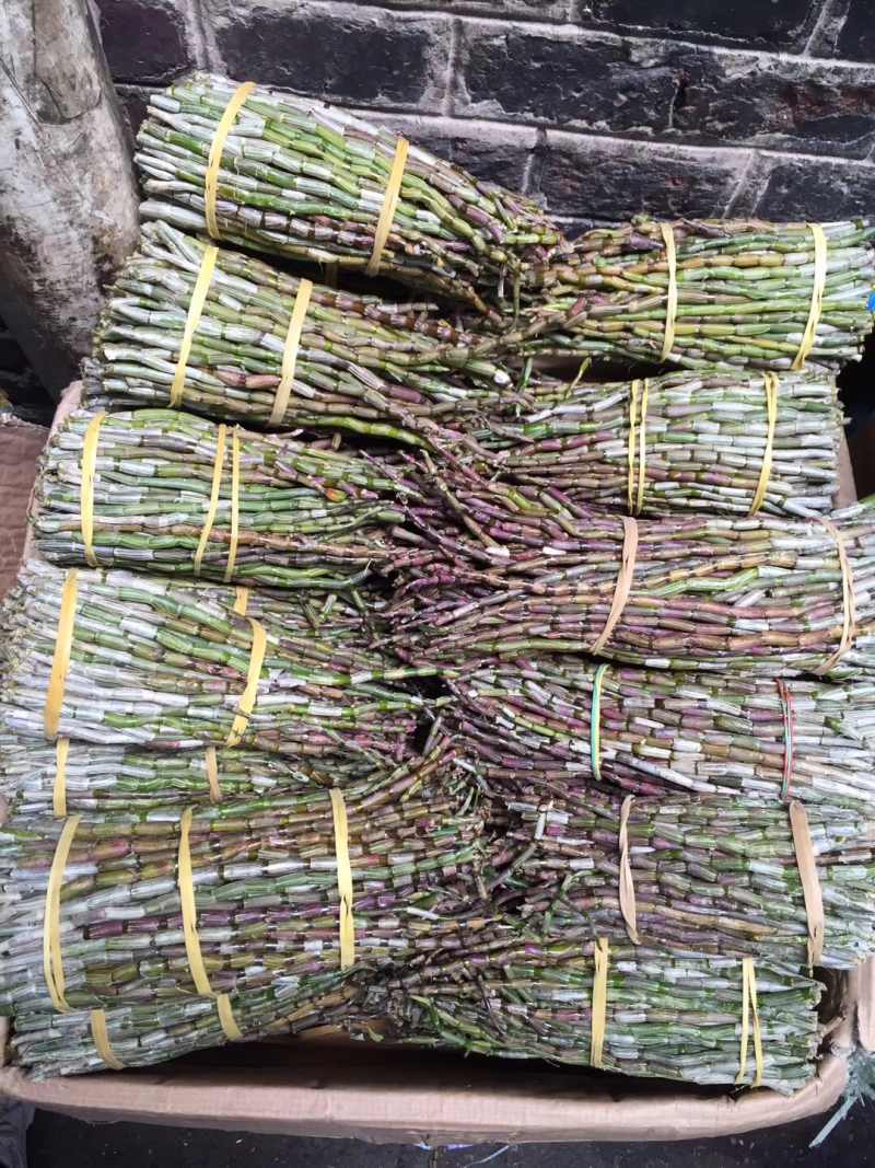 石斛铁皮石斛鲜条英茂条带叶红干长短都有可以选择