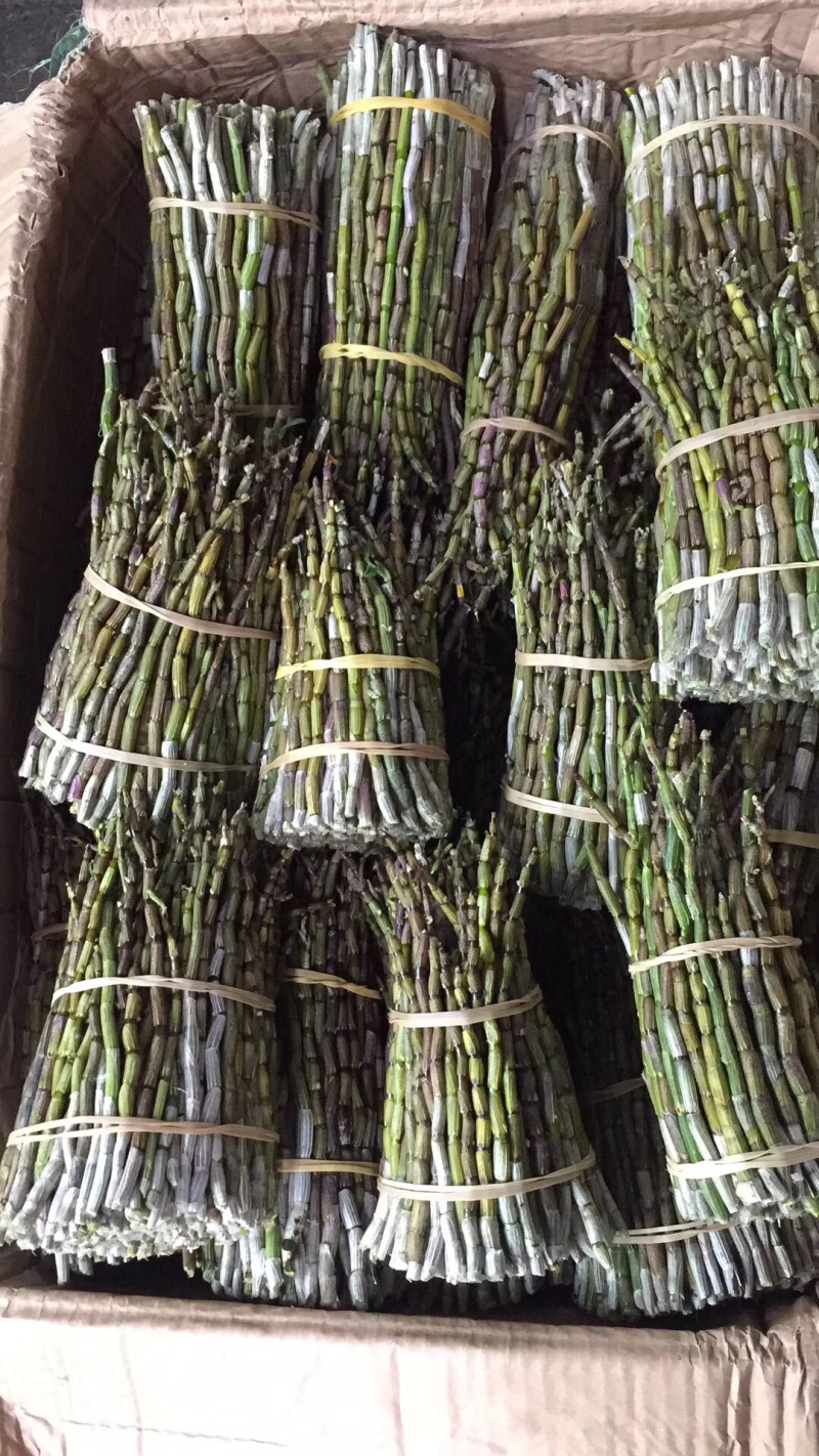 石斛铁皮石斛鲜条英茂条带叶红干长短都有可以选择
