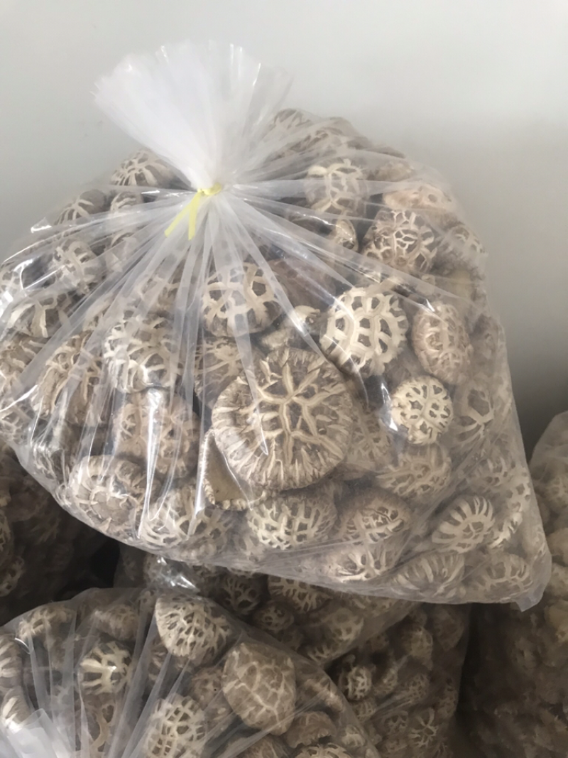 椴木香菇
