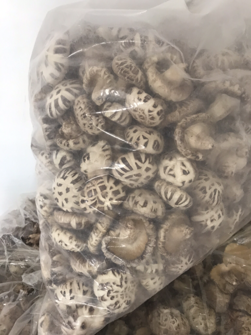 椴木香菇，