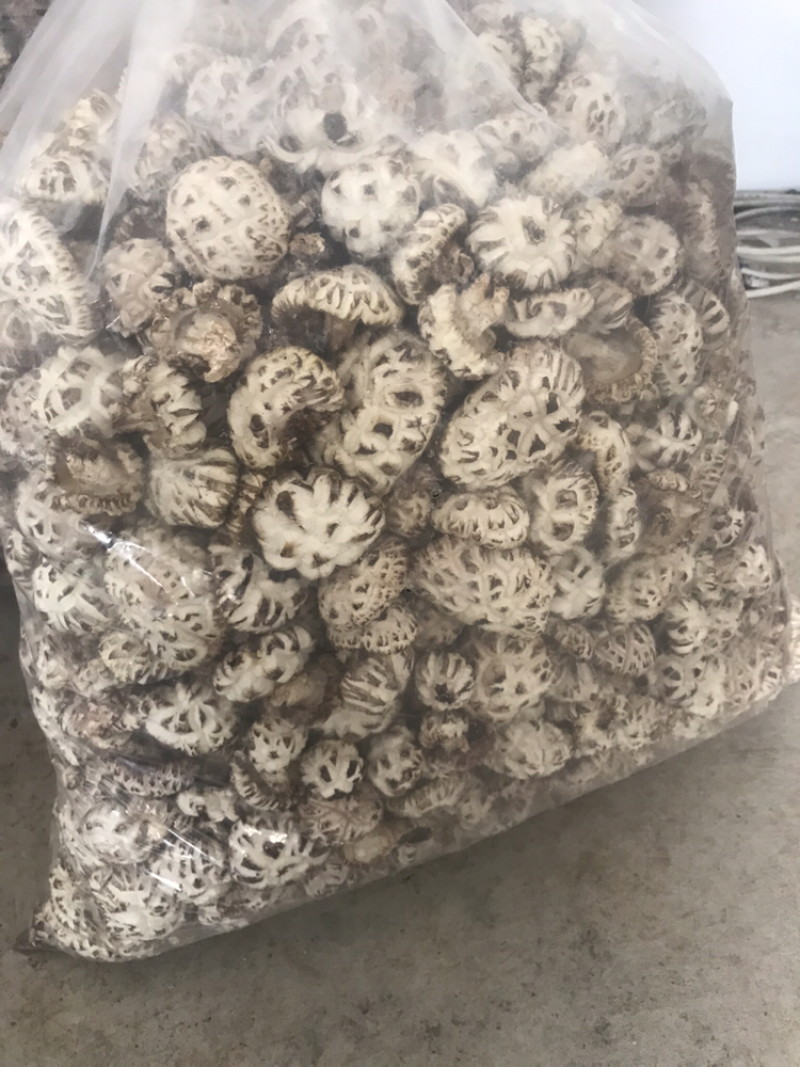 椴木香菇，