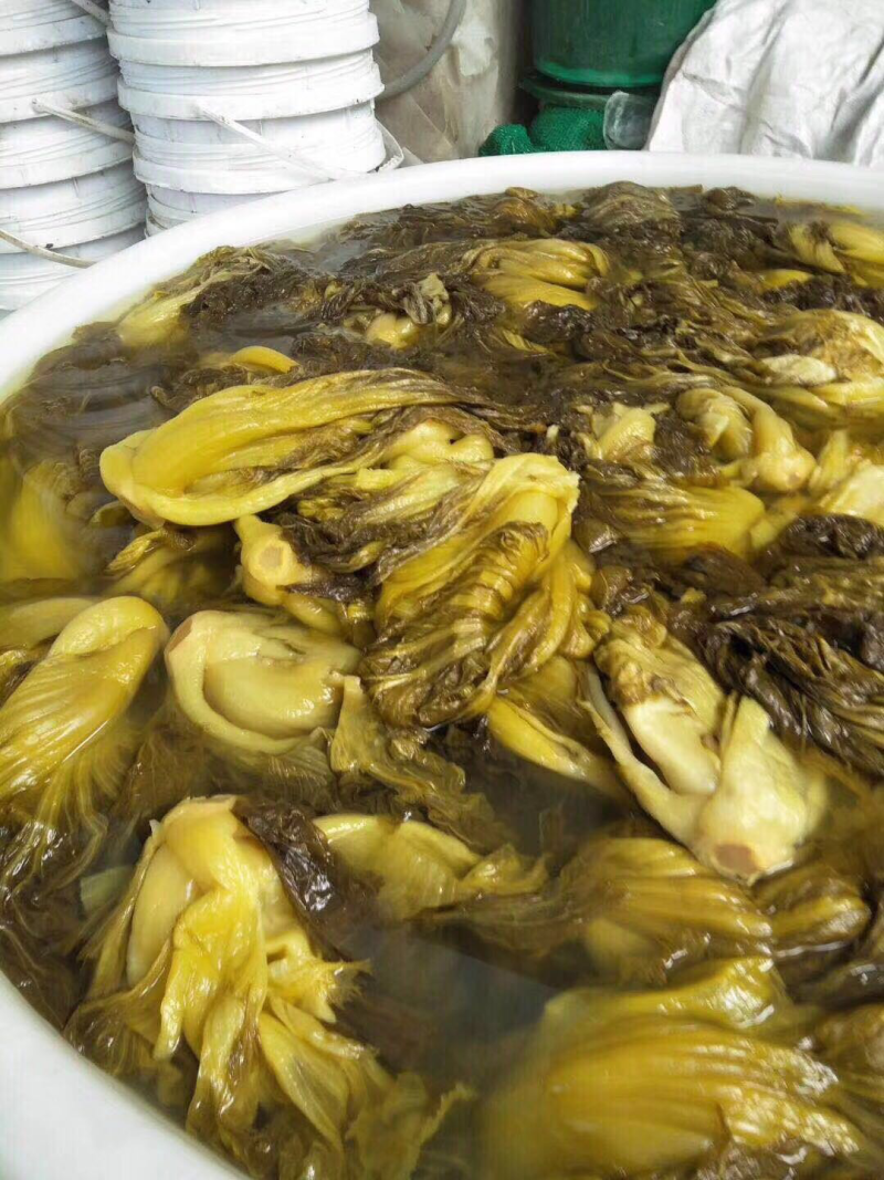 潮汕酸菜，咸菜，大颗菜，小菜，菜口
