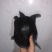 带花的小甲鱼
