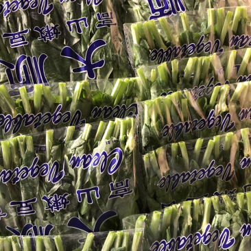 豌豆苗