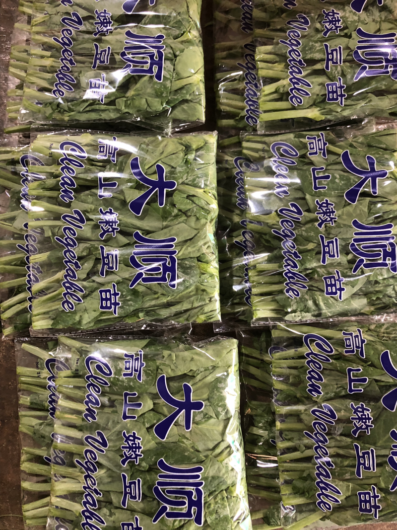 豌豆苗