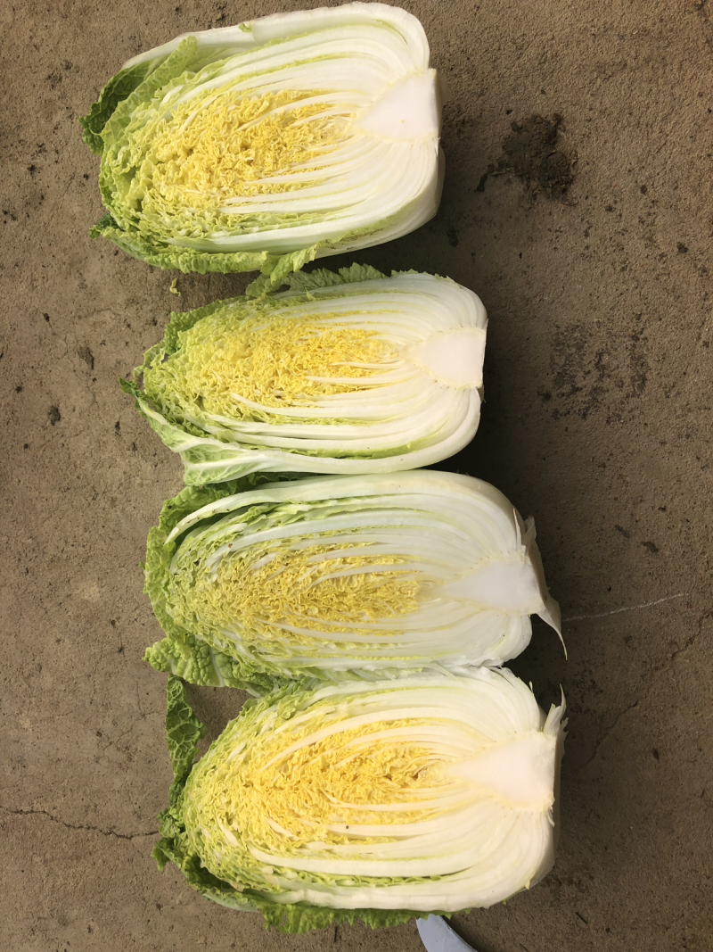 娃娃菜