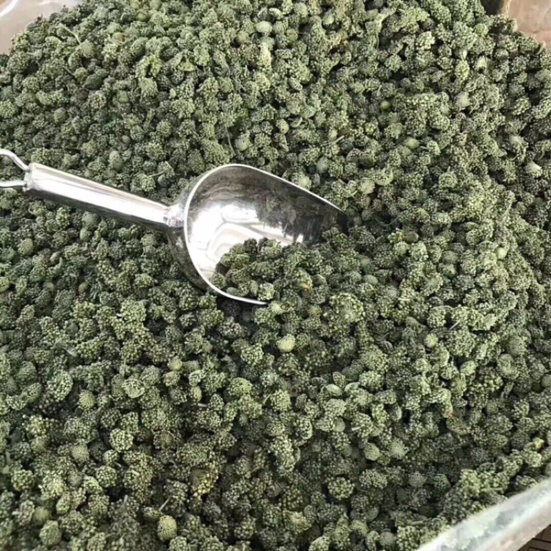 三七花