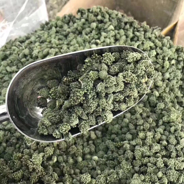 三七花