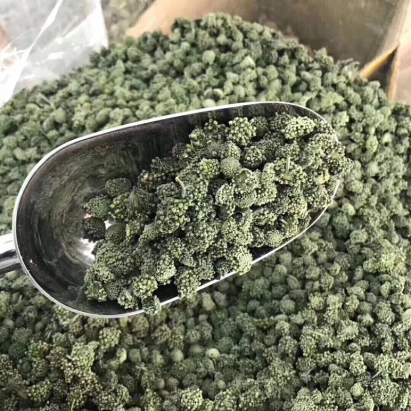 三七花