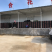 园艺百合种球种子基地自繁观赏庭院盆栽绿化公园观光景区花海
