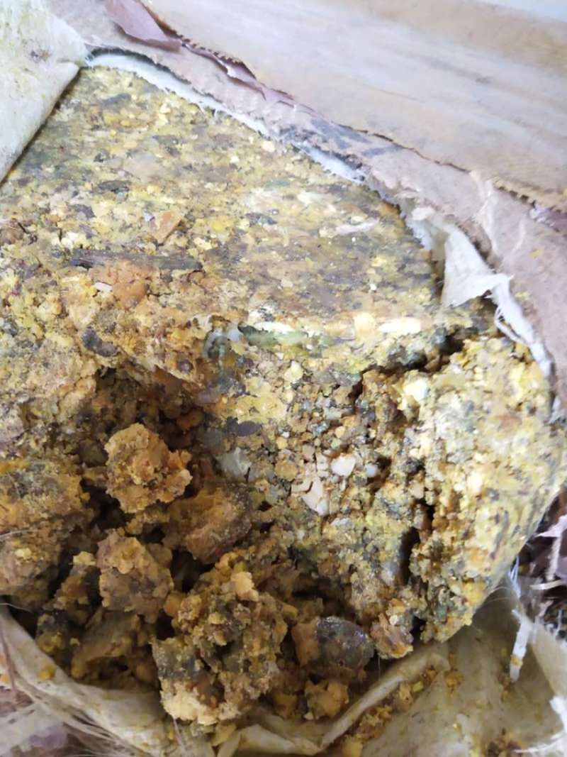 阿魏膏
