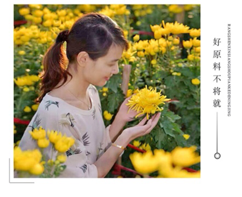 菊农基地直销袋装金丝皇菊，100袋起批