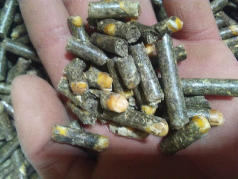 牛羊养殖专用饲料颗粒8mm