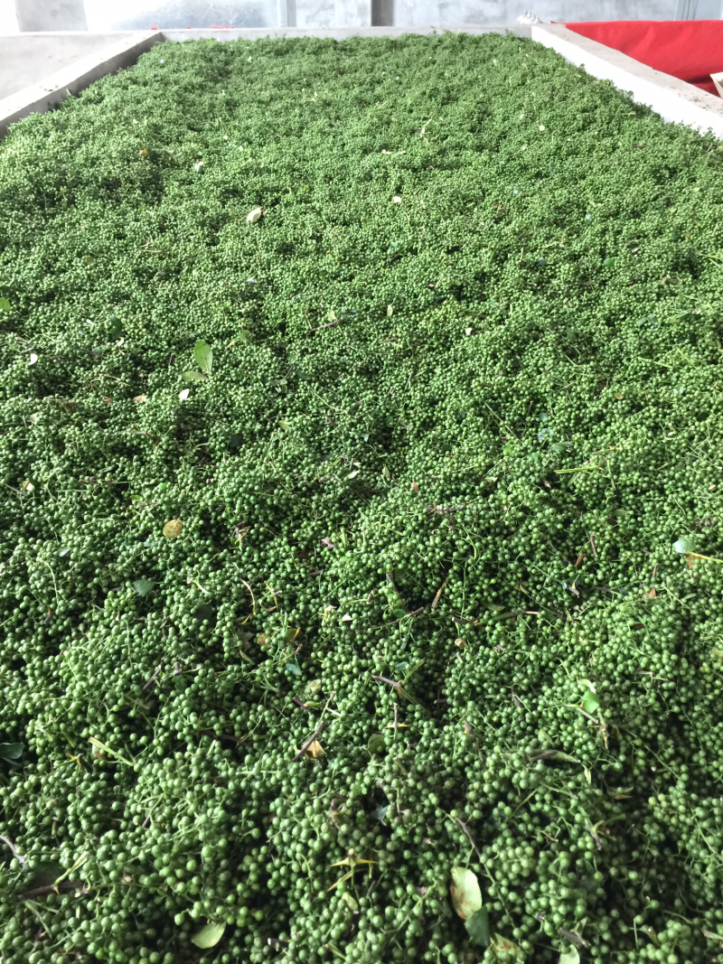 【实力】花椒云南青花椒色选花椒长期供应诚信经营
