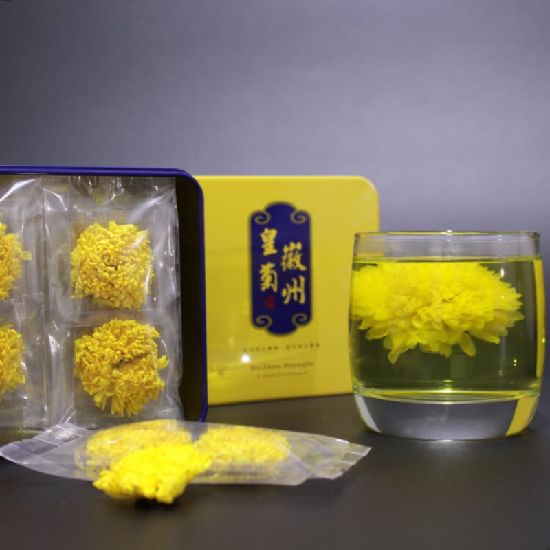 菊花苗金丝皇菊苗徽州皇菊苗乒乓球菊苗黄山贡菊苗