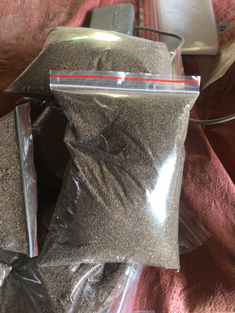 沙蒿籽食品级无沙货沙漠野生食用500克包邮支持代发