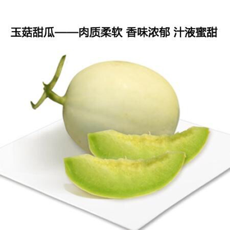 玉菇