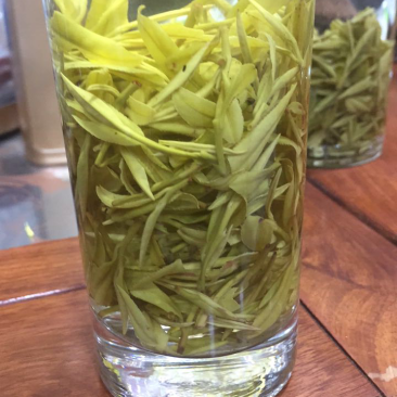 黄金芽黄金叶茶包邮