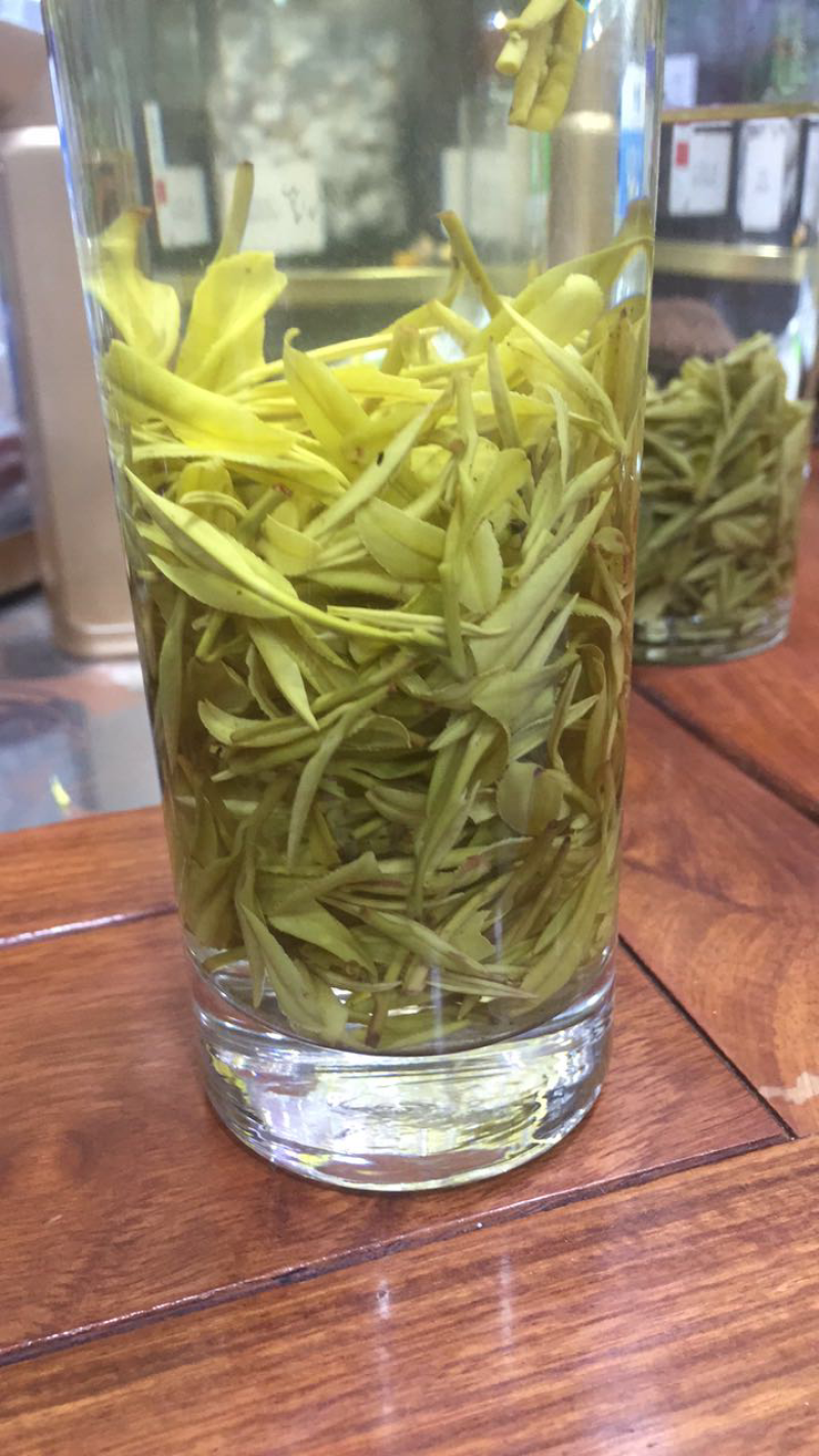 黄金芽黄金叶茶包邮