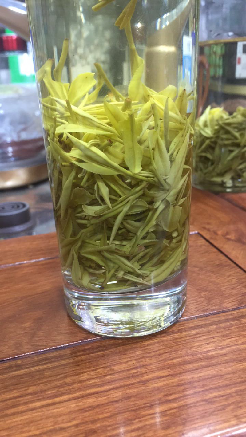 黄金芽黄金叶茶包邮