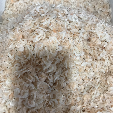 虾皮