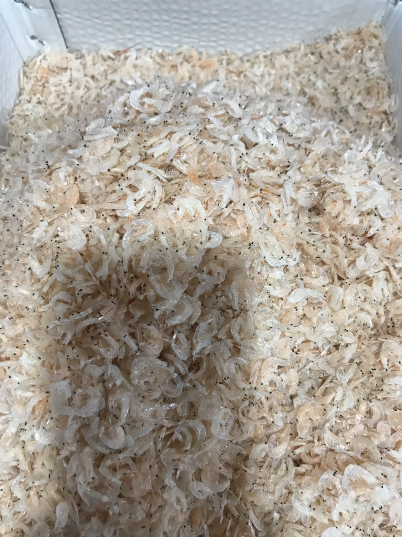 虾皮