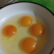 自家散养土鸡蛋