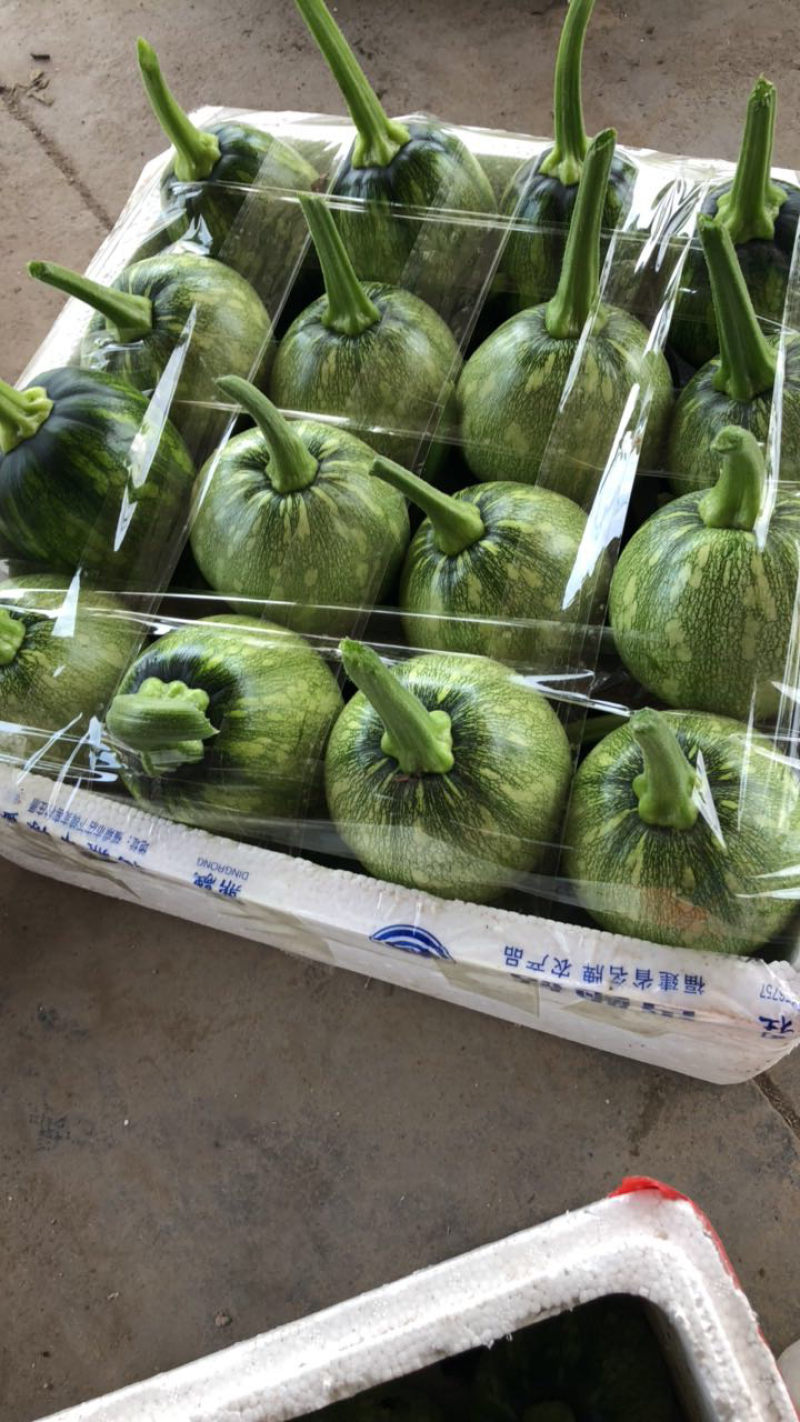 丽水市精品花皮小南瓜量大，精品包装，货量大